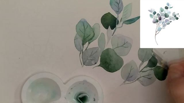 Как нарисовать ветку эвкалипта | Рисуем акварелью #веткаэвкалипта #урокрисования #какнарисовать