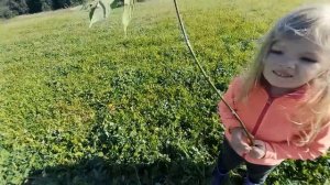 Пахота на минитракторе Синтай. Продолжаю заготовку сена. Посадил клубнику. Жизнь в деревне