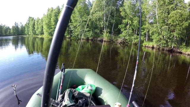 #2 Рыбалка на секретном озере. Прилетели 11 лебедей смотреть онлайн