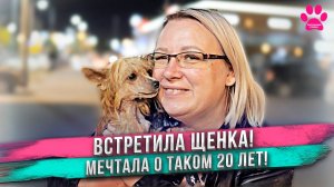 Купила собаку своей мечты! Встречаю щенка!