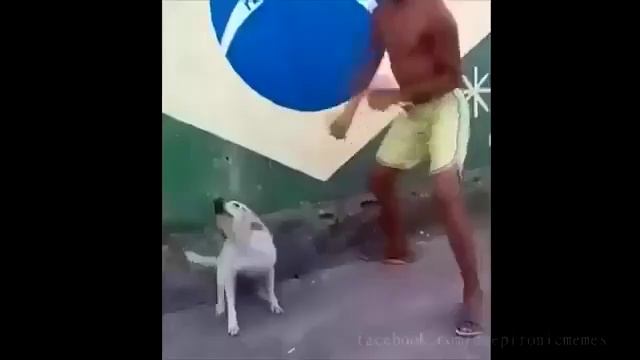 Собака танцует в ритм со своим хозяином смотреть онлайн