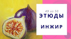 49. Как нарисовать инжир гуашью. Серия видео «50 этюдов»