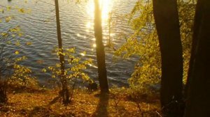 Озеро "КРАСНЫЙ ЛУЧ".wmv