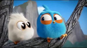 One second of every Angry Birds Blues episode