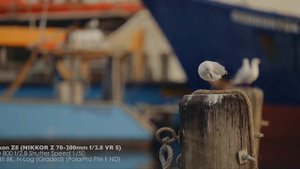 Nikon Z8 8K Video Test