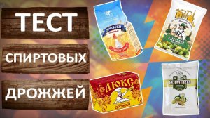 Тест спиртовых дрожжей Хмельные, Хмельной эксперт, Белорусские и Люкс экстра.