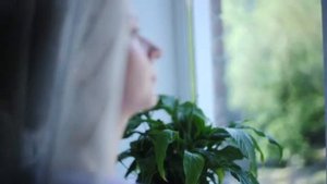 Пластиковые окна VEKA . Отзыв 2.