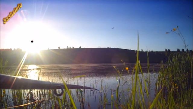 Ловля карпиков на кукурузу Catching carp on corn смотреть онлайн