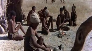 Боги, наверное, сошли с ума