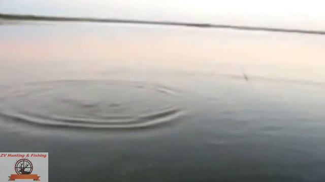 Fishing the bait.(Carp 6 kg). Рыбалка на удочку.(Сазан 6 кг) смотреть онлайн