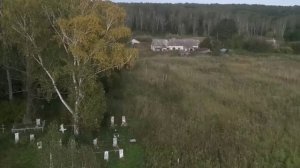 Нижний коён 2020