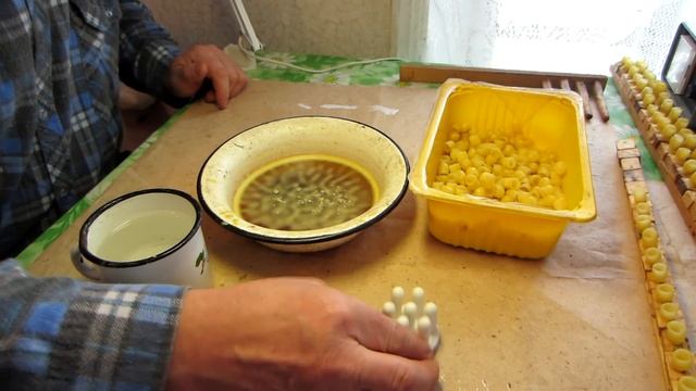 Готовим планочки с восковыми мисочками для вывода маток от А до Я для начинающих матководов