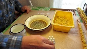 Готовим планочки с восковыми мисочками для вывода маток от А до Я для начинающих матководов