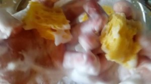 АСМР asmr ripping sponges#foam/разрывание мыльных губок#пена??