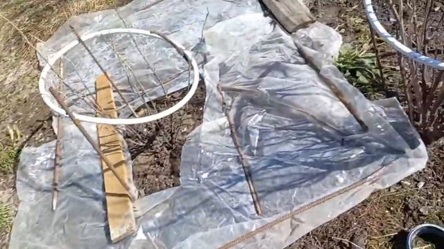 Помидоры на подоконнике/ Первые посевы зелени смотреть онлайн