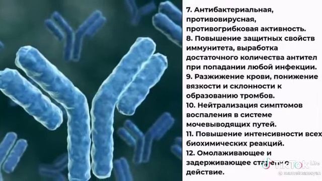 А ВЫ ЗНАЛИ ЧТО ЧЕСНОЧНАЯ ШЕЛУХА ЛЕЧИТ 50% БОЛЕЗНЕЙ ЧЕЛОВЕКА? смотреть онлайн