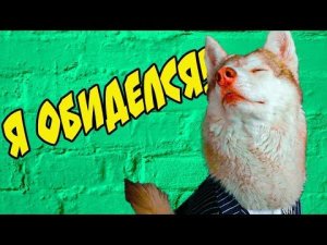 БУБЛИК - РЫЖАЯ СОПЛЯ!! Лучшие серии ЛЕТА!! (Хаски Бублик_ Говорящая собака Mister Booble