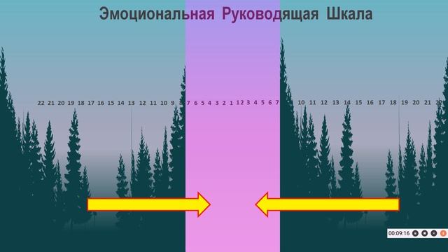 ЧТО ДЕЛАТЬ ПРИ НЕГАТИВНЫХ ЭМОЦИЯХ? СЛЕДУЙТЕ УКАЗАНИЯМ НЕФИЗИЧЕСКОГО ДВОЙНИКА