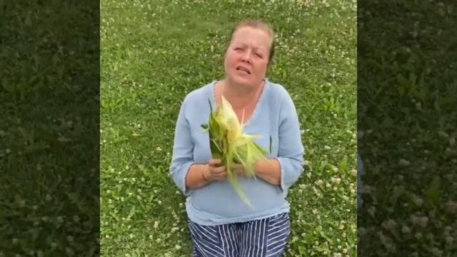 Растение внеземного происхождения. #удивительныеистории