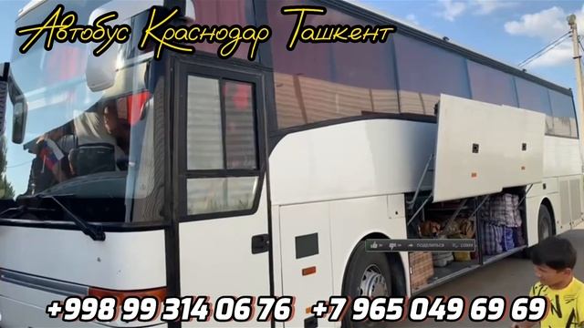 Краснодар Ташкент автобус 2023 Krasnodar Tashkent avtobus смотреть онлайн
