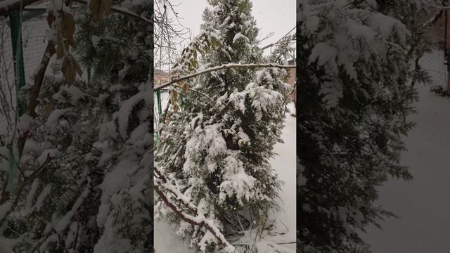 Добрый день! Погода в Азове! Всем здоровья.! смотреть онлайн