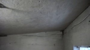 большие минусы содержания курицы несушки в клетке!