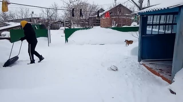 Холодец готов /Не могу уже сидеть в доме /