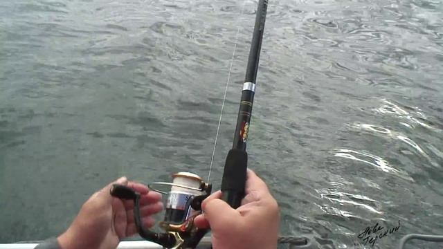 Рыбалка в Авачинской бухте смотреть онлайн