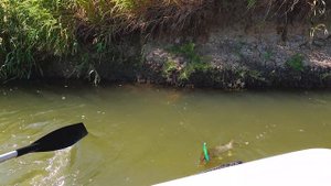 Щучий сплав по малой реке в жару