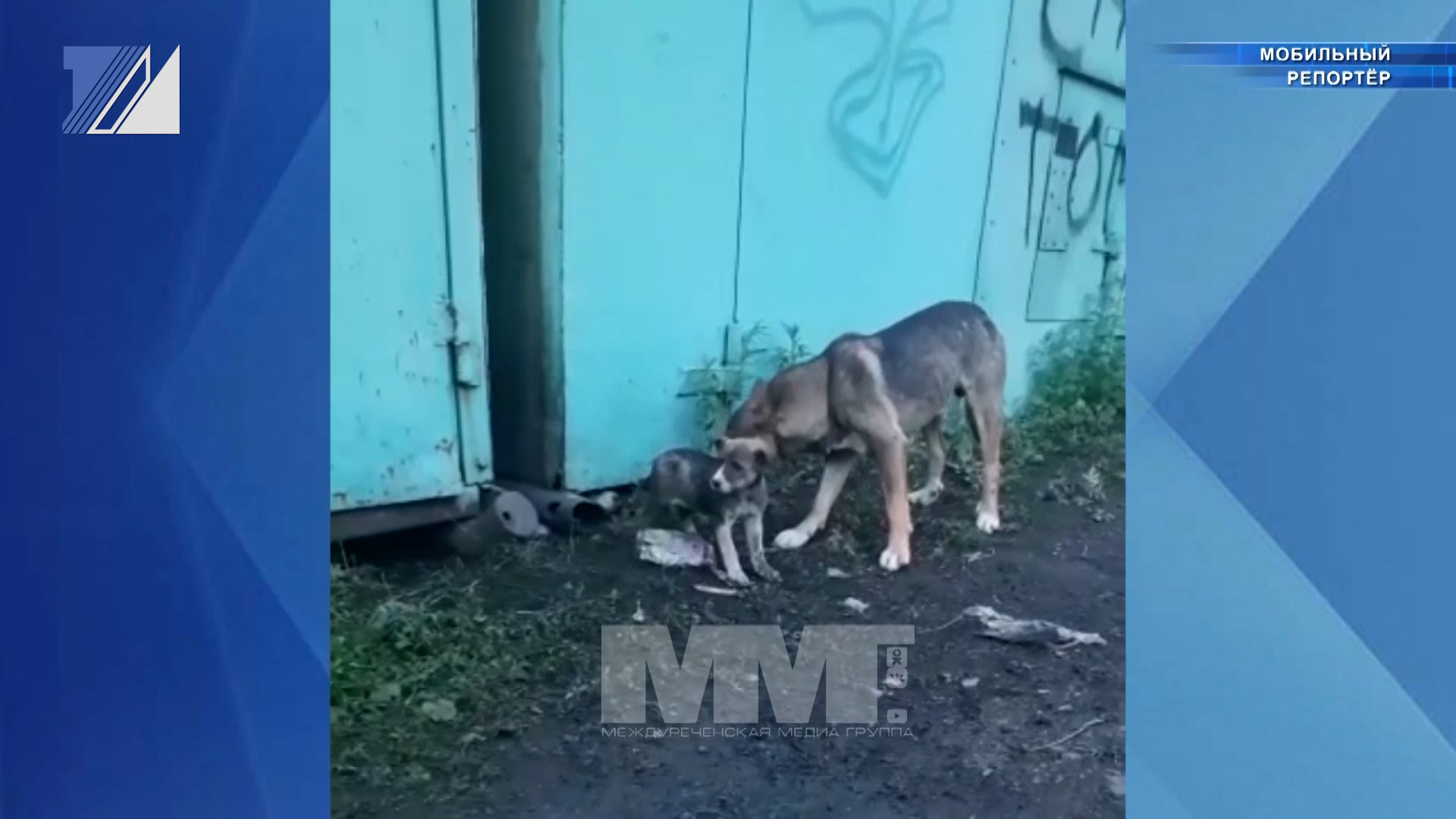 Трудности освобождения