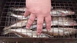 Рыба горячего копчения. Для начинающих.