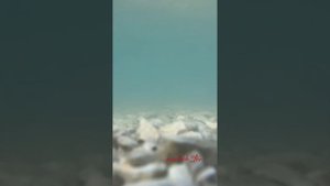 В Дагестан стоит влюбиться
