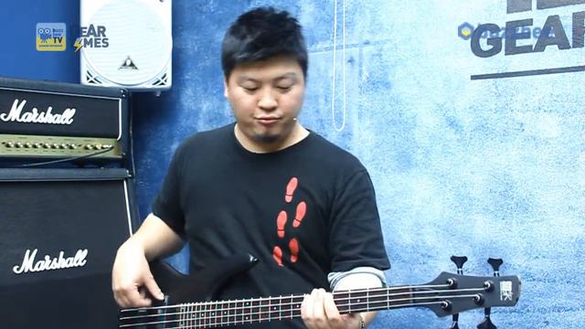 IBANEZ SR300B