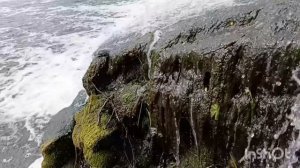 Водопад в п. Знаменск, река Лава. Калининградская область.