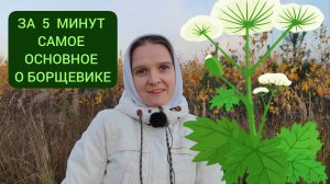 За 5 минут основное о борщевике