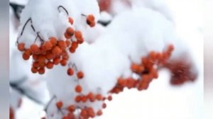 Я нарисую мир таким, каким ЛЮБЛЮ…