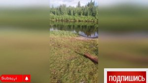 природа Якутии 1002052277.mp4