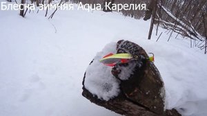 Блесна зимняя Aqua Карелия