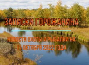 Охота. Рыбалка. Новости на 11 октября 2022 года