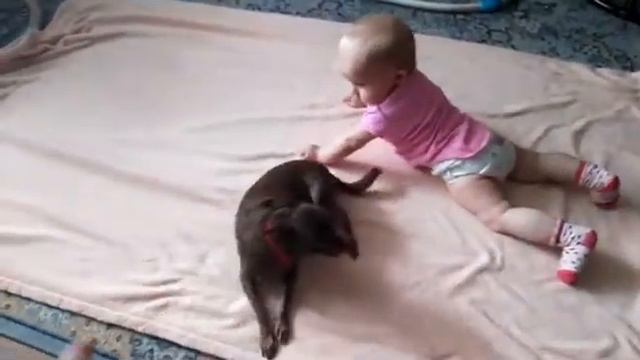 Учимся ползать. Лола инструктор смотреть онлайн