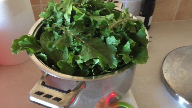 Греческая кухня/ХОРТА/Салат из листьев цикория смотреть онлайн