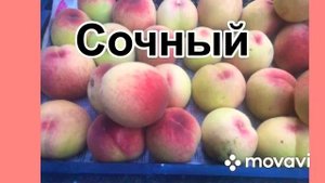 Персик долгожитель сорт «Киевский ранний»  #персик #киевскийранний