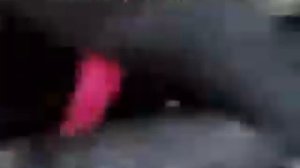 Тигр разорвал упавшего в вальер человека.