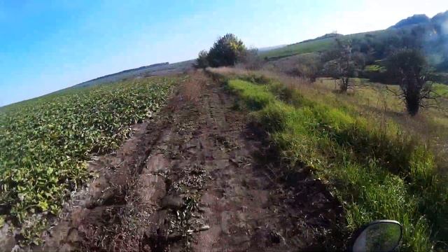 ПОКАТУШКИ НА МОПЕДЕ, СКУТОРЕ. ПОКАТУШКИ В КРАСИВОЙ МЕСТНОСТИ, МОТО. МОТОРОЛЛЕР. смотреть онлайн