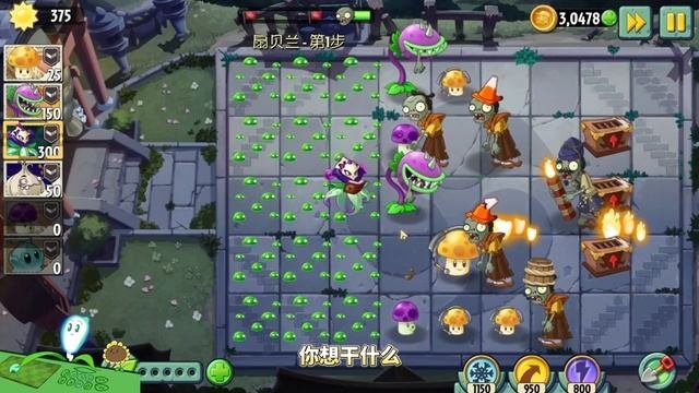【芦苇】扇贝兰到底强不强？ 植物大战僵尸2 Shuttle版丨Is Scallop Blue Strong? Plants Vs Zombies 2 Shuttle Edition