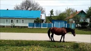 СЕЛО СОЛЕНОЕ