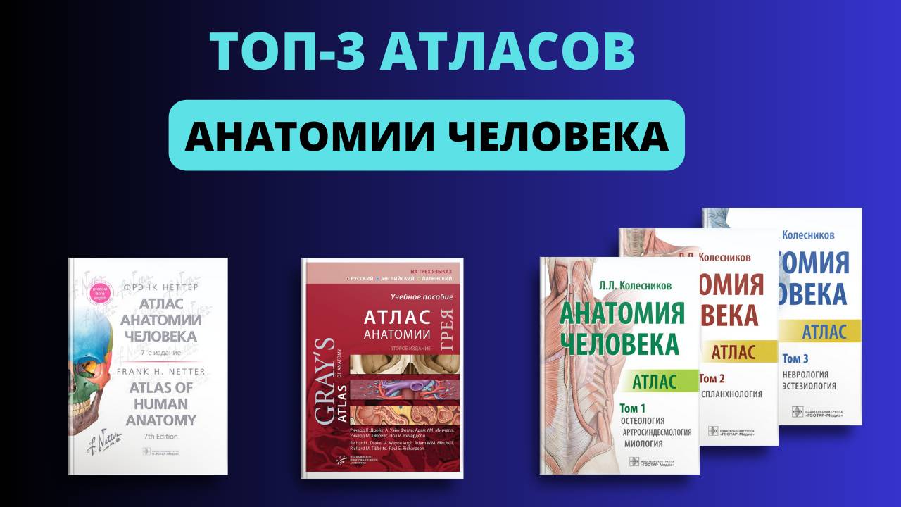 ТОП-3 Атласов анатомии человека