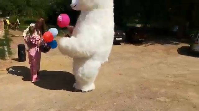 поздравления от большого белого мишки г. Дмитров смотреть онлайн