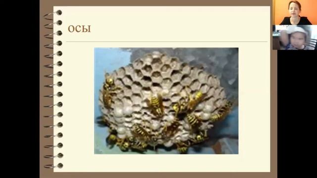 Логопедическое онлайн занятие "Звукознайка", Клуб "Сами с усами", 07.05.2020