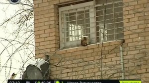 ФСИН-Письмо с телефона в СИЗО